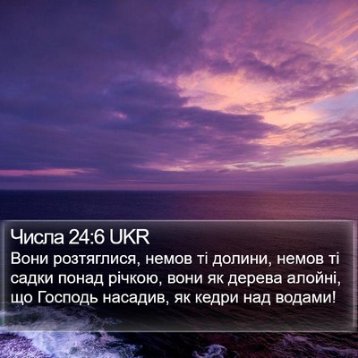 Числа 24:6 UKR Bible Verse Image