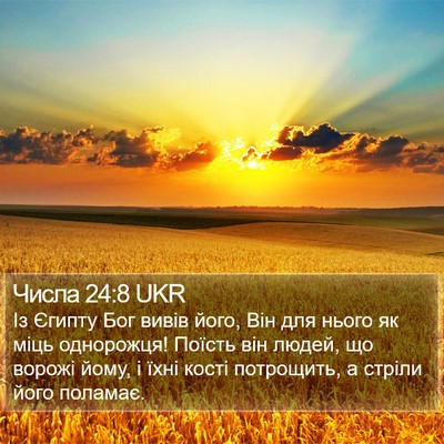 Числа 24:8 UKR Bible Verse Image
