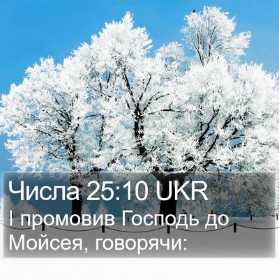 Числа 25:10 UKR Bible Verse Image
