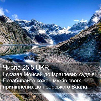 Числа 25:5 UKR Bible Verse Image