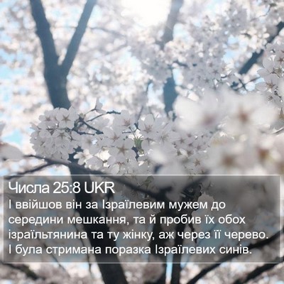 Числа 25:8 UKR Bible Verse Image