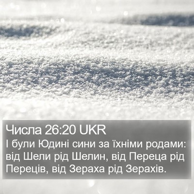 Числа 26:20 UKR Bible Verse Image