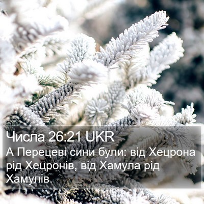 Числа 26:21 UKR Bible Verse Image