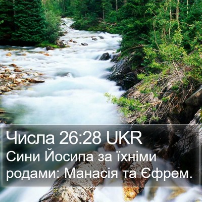 Числа 26:28 UKR Bible Verse Image