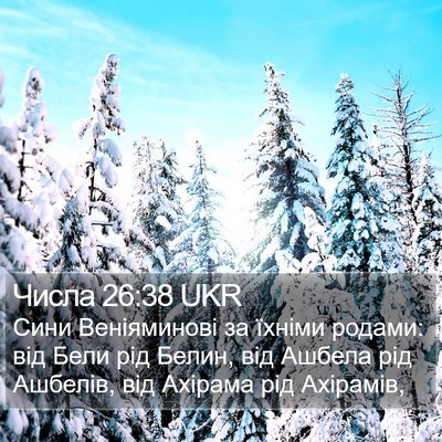 Числа 26:38 UKR Bible Verse Image