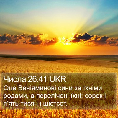 Числа 26:41 UKR Bible Verse Image
