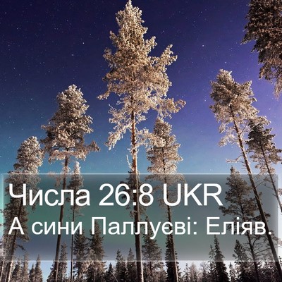 Числа 26:8 UKR Bible Verse Image