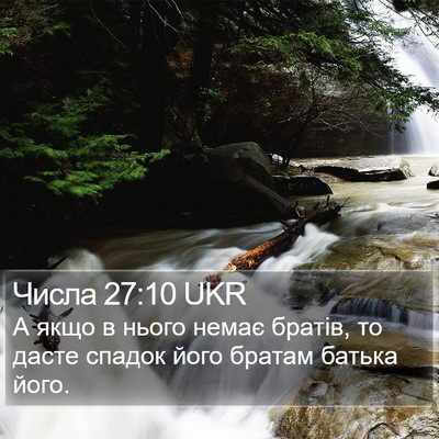 Числа 27:10 UKR Bible Verse Image