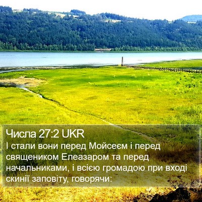 Числа 27:2 UKR Bible Verse Image
