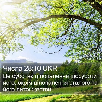 Числа 28:10 UKR Bible Verse Image