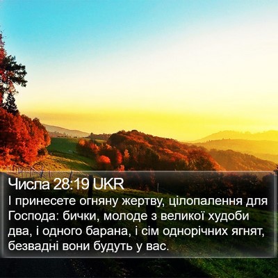 Числа 28:19 UKR Bible Verse Image