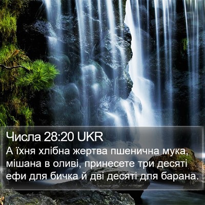 Числа 28:20 UKR Bible Verse Image