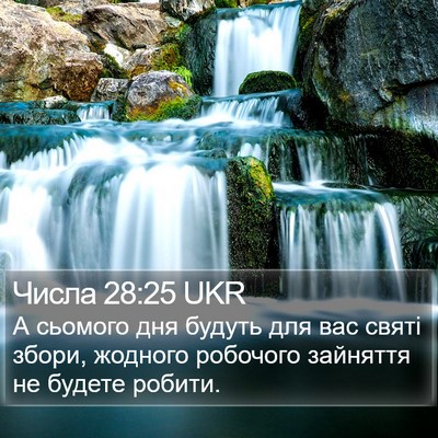 Числа 28:25 UKR Bible Verse Image