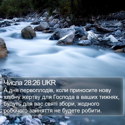 Числа 28:26 UKR Bible Verse Image