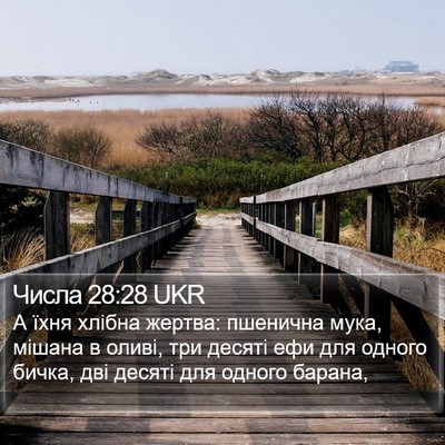 Числа 28:28 UKR Bible Verse Image