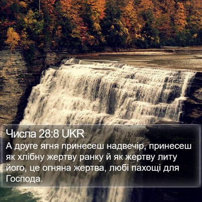 Числа 28:8 UKR Bible Verse Image