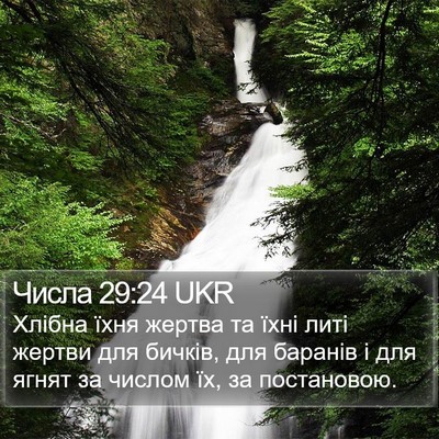 Числа 29:24 UKR Bible Verse Image