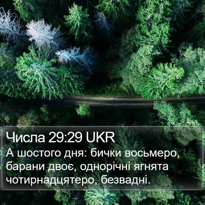 Числа 29:29 UKR Bible Verse Image