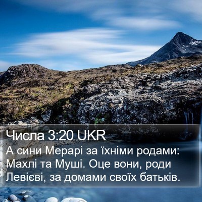 Числа 3:20 UKR Bible Verse Image