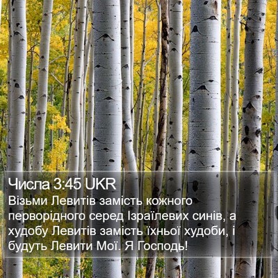 Числа 3:45 UKR Bible Verse Image