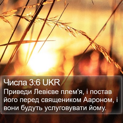 Числа 3:6 UKR Bible Verse Image