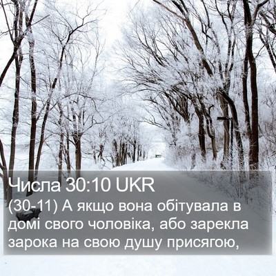 Числа 30:10 UKR Bible Verse Image
