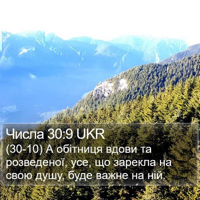 Числа 30:9 UKR Bible Verse Image