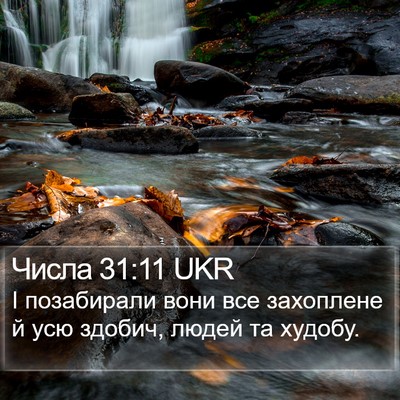 Числа 31:11 UKR Bible Verse Image
