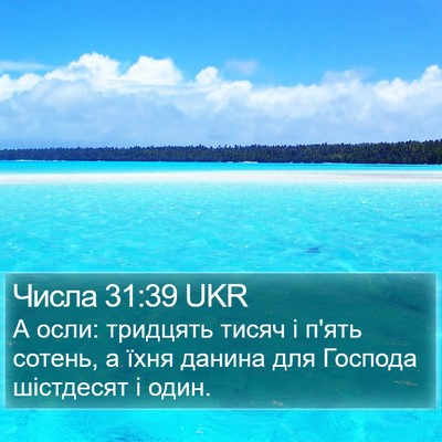 Числа 31:39 UKR Bible Verse Image
