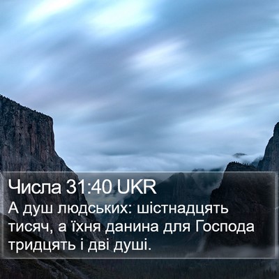Числа 31:40 UKR Bible Verse Image
