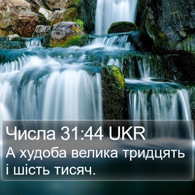 Числа 31:44 UKR Bible Verse Image
