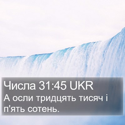 Числа 31:45 UKR Bible Verse Image