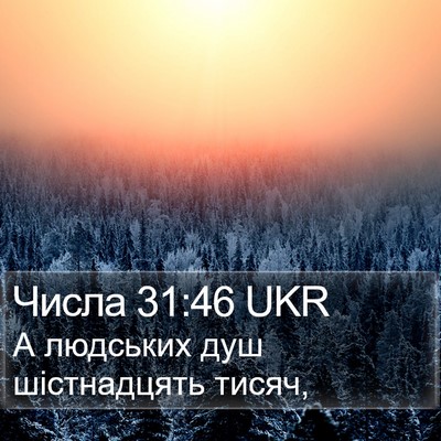 Числа 31:46 UKR Bible Verse Image