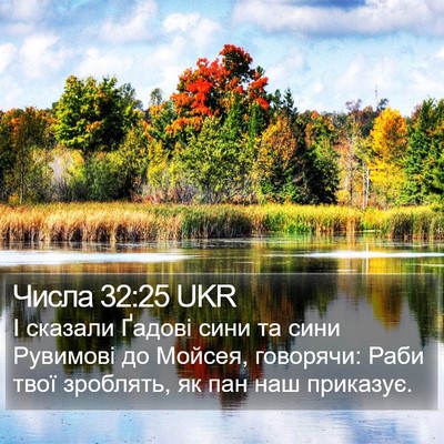 Числа 32:25 UKR Bible Verse Image