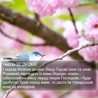 Числа 32:29 UKR Bible Verse Image