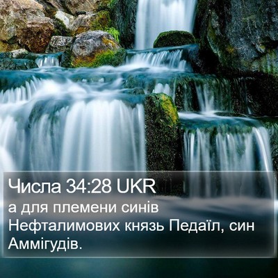 Числа 34:28 UKR Bible Verse Image