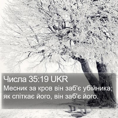 Числа 35:19 UKR Bible Verse Image