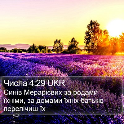 Числа 4:29 UKR Bible Verse Image