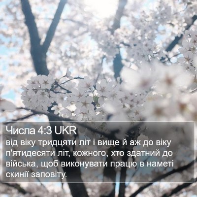 Числа 4:3 UKR Bible Verse Image