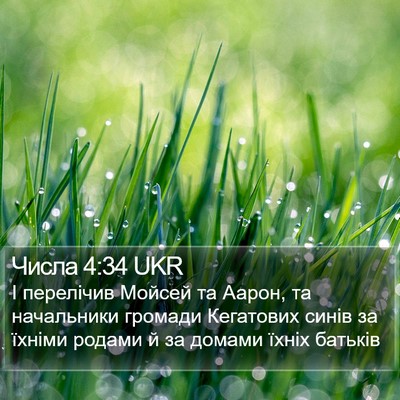 Числа 4:34 UKR Bible Verse Image