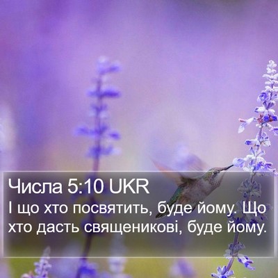 Числа 5:10 UKR Bible Verse Image