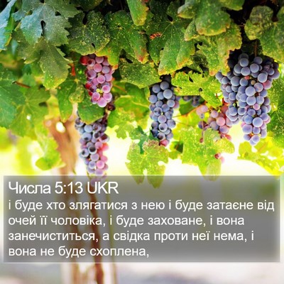 Числа 5:13 UKR Bible Verse Image