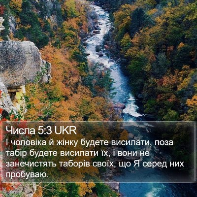 Числа 5:3 UKR Bible Verse Image