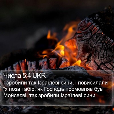 Числа 5:4 UKR Bible Verse Image