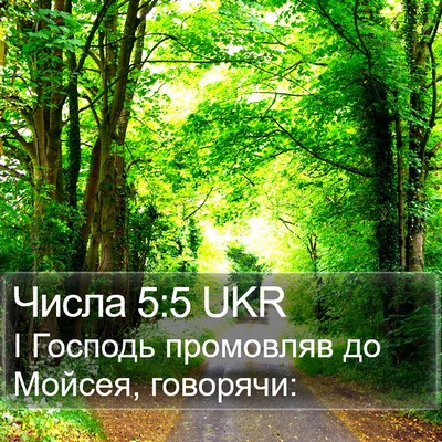 Числа 5:5 UKR Bible Verse Image