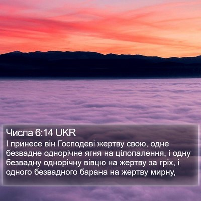 Числа 6:14 UKR Bible Verse Image