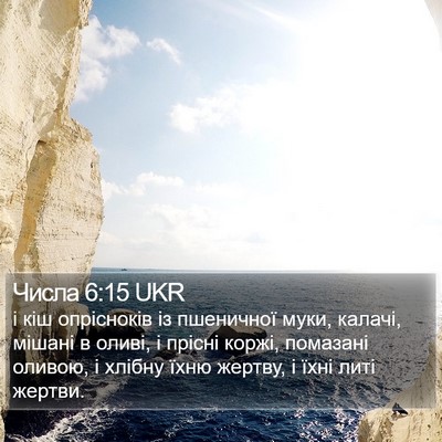 Числа 6:15 UKR Bible Verse Image