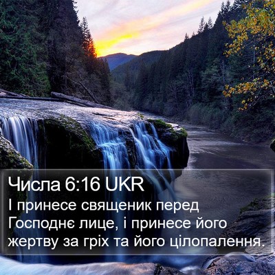Числа 6:16 UKR Bible Verse Image