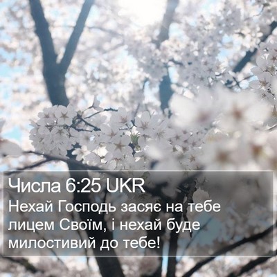 Числа 6:25 UKR Bible Verse Image