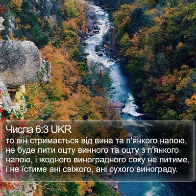 Числа 6:3 UKR Bible Verse Image